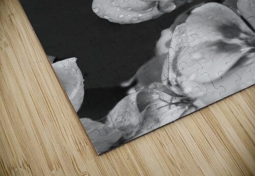 Raindrops Resting on Pink B&W Gods Eye Candy puzzle