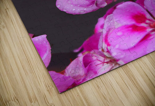Raindrops Resting on Pink Gods Eye Candy puzzle