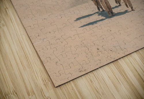 8722102 Conceptual Photography puzzle