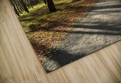 Autumnal Forest Walk Through the Scottish Highlands Catriona Roberts Nature Photography and Designs puzzle