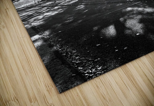 Everyday Lifes Moments- Black and White Contrast  Catriona Roberts Nature Photography and Designs puzzle