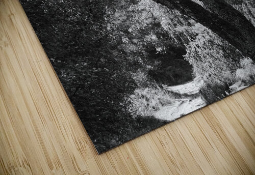 Birch Tree Guardian of the Scottish Highlands Catriona Roberts Nature Photography and Designs puzzle