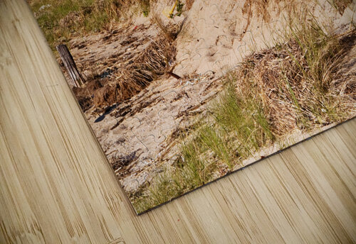 Long Point Lighthouse By Sand Dune on Tip of Cape Cod in Massachusetts Allan Wood puzzle