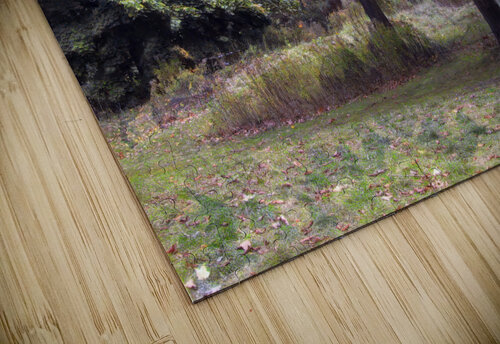 The Best of Friends in All Seasons Thea Menagh puzzle