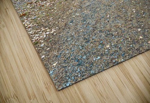 Scenes from the Trail- Decisions Catriona Roberts Nature Photography and Designs puzzle