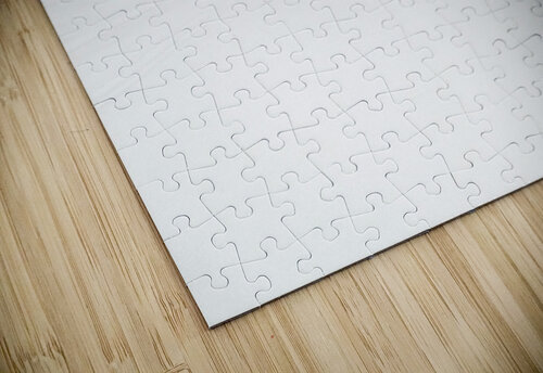 Two People Mark Schacter puzzle
