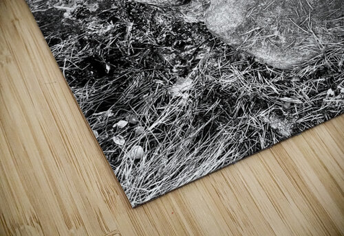 Scenes from the Trail- On the Trail in the Scottish Highlands Catriona Roberts Nature Photography and Designs puzzle