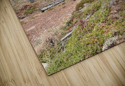 Scenes from the Trail- Onwards and Upwards Through the Scottish Highlands Catriona Roberts Nature Photography and Designs puzzle