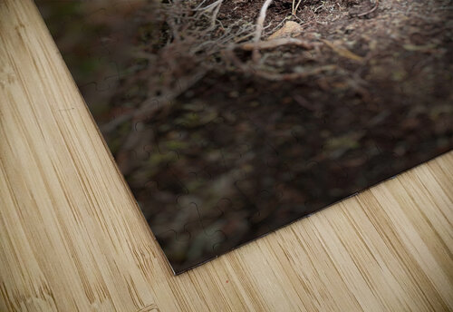 Scenes from the Trail-Standing Catriona Roberts Nature Photography and Designs puzzle