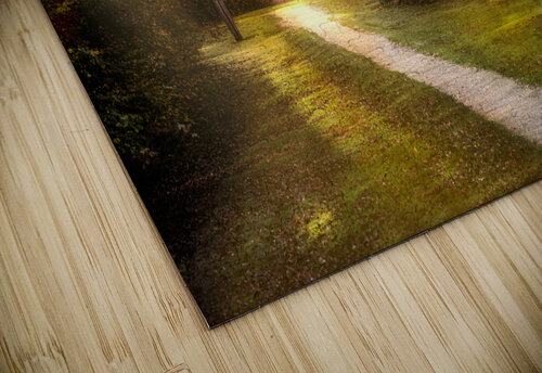 Brandon UK path RawBeltPhotos puzzle