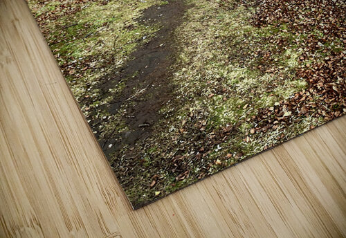 Scenes from the Trail - Impressionistic Dog Walk  Catriona Roberts Nature Photography and Designs puzzle