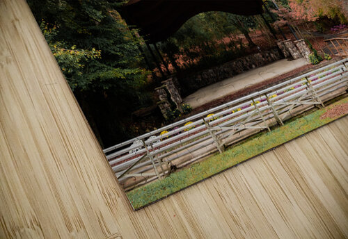 Newport News Park 100 RawBeltPhotos puzzle