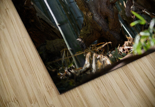 Bamboo Abstract RawBeltPhotos puzzle