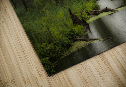 Swampy Yorktown RawBeltPhotos puzzle