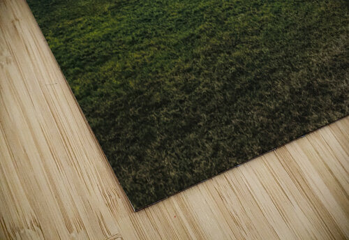 Southwest Virginia Farm Storms Norma Brandsberg Photography puzzle