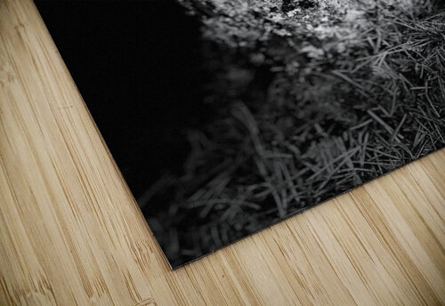 Scenes from the Trail- Mug in Black and White Catriona Roberts Nature Photography and Designs puzzle