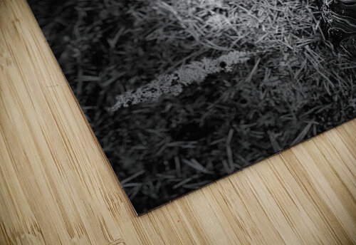 Scenes from the Trail- Outdoor Cafe in Black and White Catriona Roberts Nature Photography and Designs puzzle