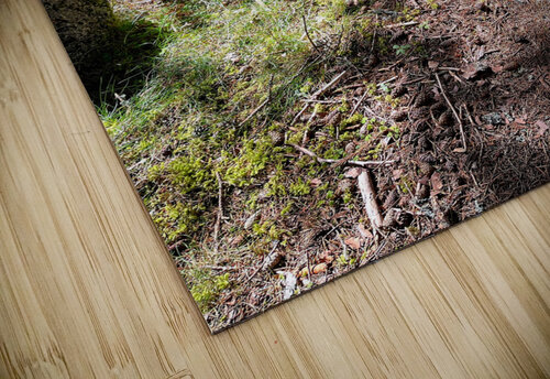 Scenes from the Trail- On the Edge Catriona Roberts Nature Photography and Designs puzzle