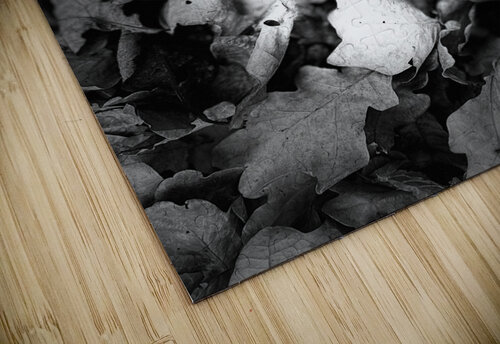 Scenes from the Trail  -Autumnal Leaves in Black and White  Catriona Roberts Nature Photography and Designs puzzle