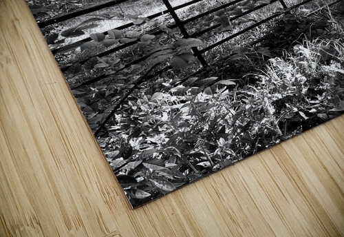  Everyday Lifes Moments - The Shed in Black and White Catriona Roberts Nature Photography and Designs puzzle