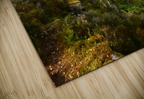 Spring Calls for the Scottish Highlands Catriona Roberts Nature Photography and Designs puzzle
