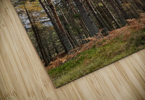 Autumnal Serenity in the Scottish Highlands Catriona Roberts Nature Photography and Designs puzzle