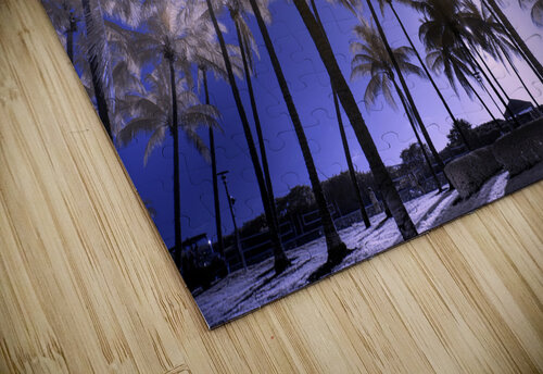 Dreamscape Palms South Beach Exist2shoot Photography puzzle