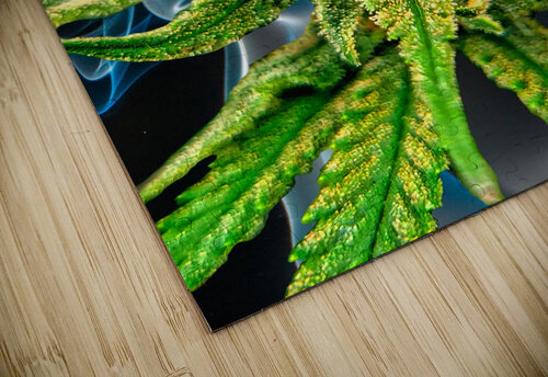 Bud TripleG UpThereAgain Photography puzzle