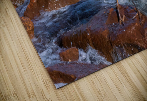 Great Blue Heron - Rock Hopper on the Hunt Chad Meyer puzzle