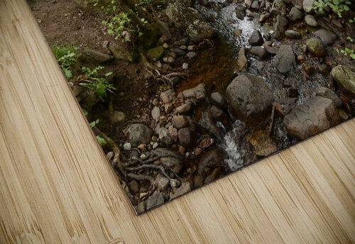 Impressionistic River Burn in the Scottish Highlands Catriona Roberts Nature Photography and Designs puzzle