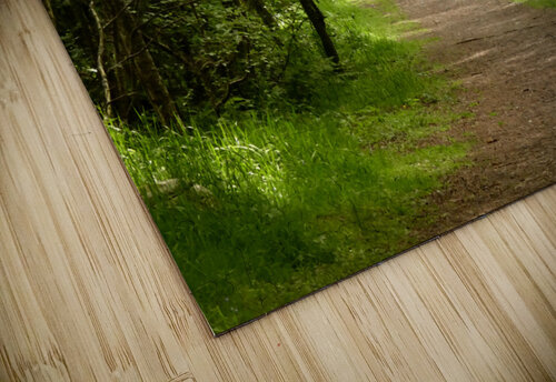Impressionistic Nature Path Through the Scottish Highlands Catriona Roberts Nature Photography and Designs puzzle