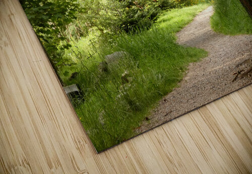 A Spring Nature Path through the Scottish Highlands Catriona Roberts Nature Photography and Designs puzzle