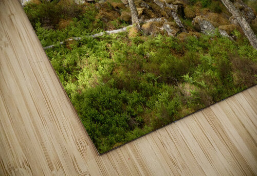 Birch Heather Blay Berries and Moss in the Scottish Highlands Catriona Roberts Nature Photography and Designs puzzle