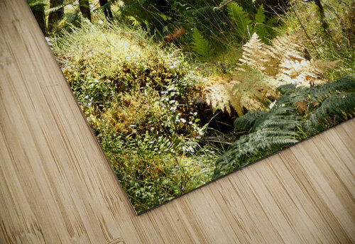 Scottish Highlands Spring Woodland Catriona Roberts Nature Photography and Designs puzzle