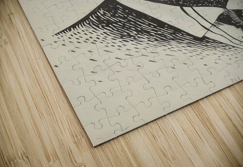 President Teddy Roosevelt Art Row One Brand puzzle