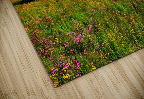 Wild Flower Field of Dreams UpThereAgain Photography puzzle