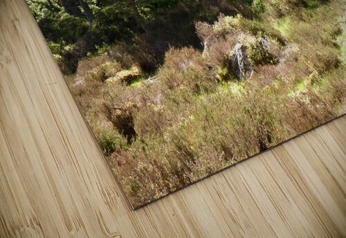 Scottish Highlands Woodland Wish   Catriona Roberts Nature Photography and Designs puzzle