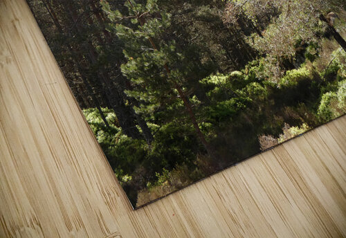 Summer Woodland in the Scottish Highlands  Catriona Roberts Nature Photography and Designs puzzle