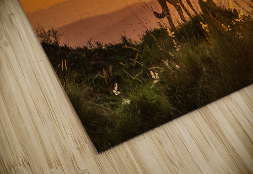 Tender Moment Golden Light Greg Westbrook puzzle