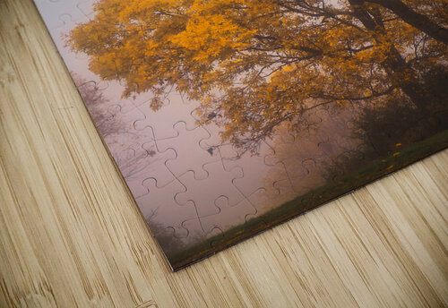 Yellow Autumn Jason Fink puzzle