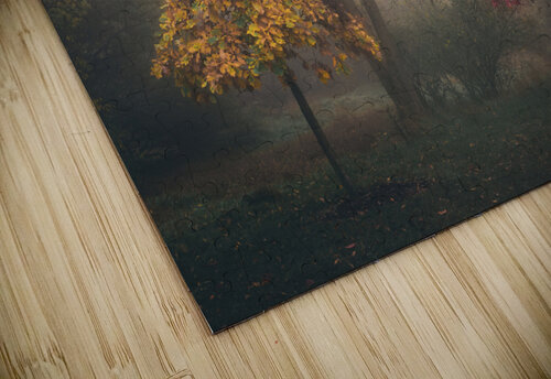 Yellow and Red Trees in Autumn Fog Jason Fink puzzle