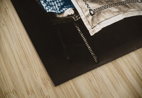 Vintage kittens birthday DELPHIMAGES puzzle