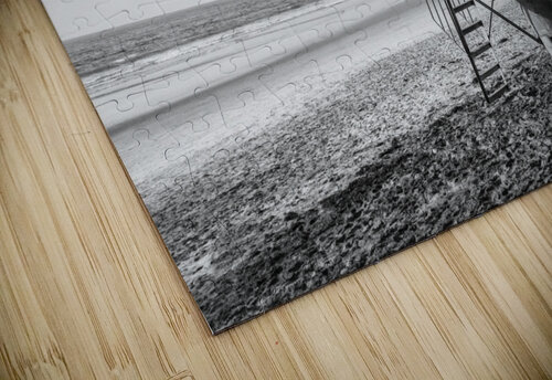 Torrey Pines beach San Diego black and white DELPHIMAGES puzzle