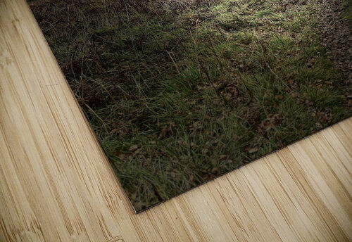 Scenes from the Trail- Scottish Countryside Catriona Roberts Nature Photography and Designs puzzle