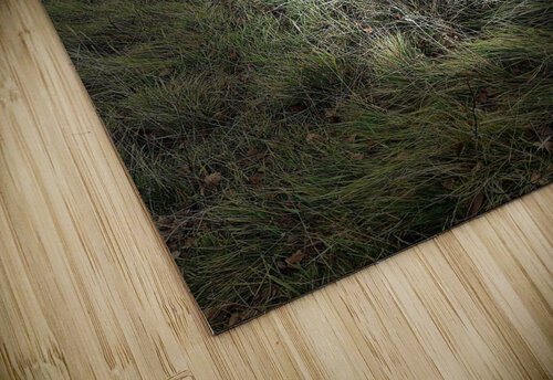 Scenes from the Trail - Autumn in the Scottish Highlands Catriona Roberts Nature Photography and Designs puzzle