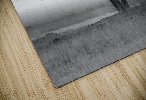 Majesty in Monochrome Greg Westbrook puzzle