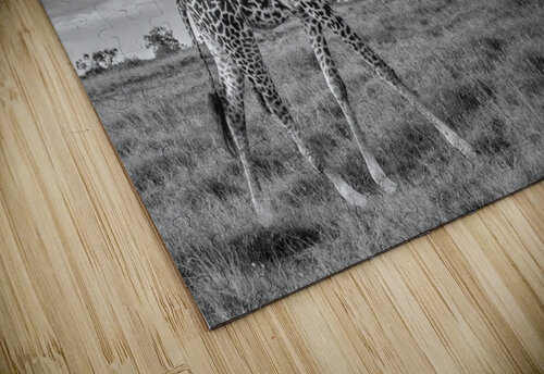 Plains and Patterns Greg Westbrook puzzle