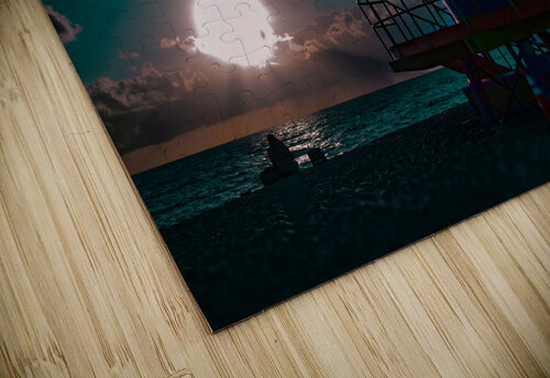 20221204 southbeach 2657 Enhanced NR Susan Lynn Cooke puzzle