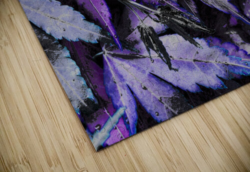 Abstract Acer Leaves in Blue and Purple Catriona Roberts Nature Photography and Designs puzzle