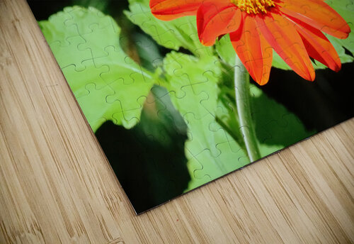 Ruby Throated Hummingbird And Mexican Sunflower Deb Oppermann puzzle